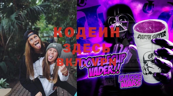 молекула духа Алзамай