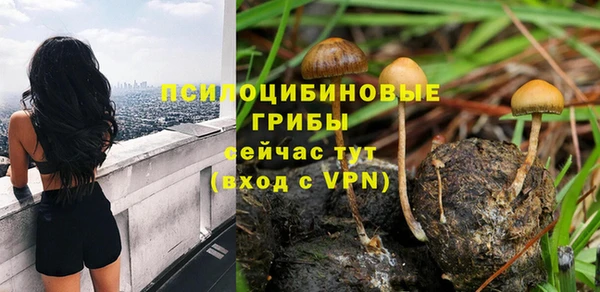 молекула духа Алзамай
