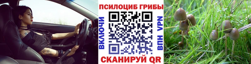 мега ссылки  Обнинск  Галлюциногенные грибы Magic Shrooms  магазин  наркотиков 
